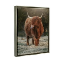 Слупел Хајленд говеда фарма куќа земја животни животни и инсекти Фотографија Греј Флотер врамена уметничка
