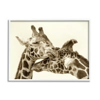 СТУПЕЛ ИНДУСТРИИ Слатка гушкање жирафи сепија Сепија Фотографија Портрет Фотографија Бела врамена уметничка