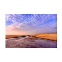 Кора Ниле „рано утрински плажа“ платно уметност