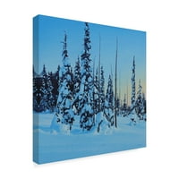 Трговска марка ликовна уметност „Снежна шума“ платно уметност од Рон Паркер