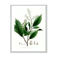 DesignArt 'Античко бразилско растение II' Традиционално врамено платно wallидна уметност печатење