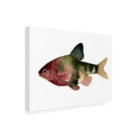 Трговска марка ликовна уметност „Виножито риба IV“ платно уметност од Ема Скарви