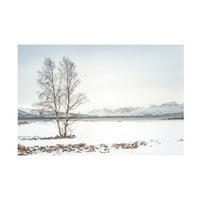Филип Саинте Лауди „само друго дрво“ платно уметност