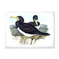 DesignArt 'Антички австралиски птици xii' Традиционална врамена уметничка печатење