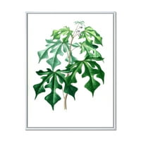 DesignArt 'Антички зелени лисја растенија II' Традиционално врамено платно wallидна уметност печатење
