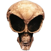 НЛО туѓи череп колекционерски статуи фигура фигура скулптура скелет