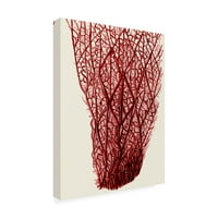 Трговска марка ликовна уметност „Црвени корали f“ платно уметност од фан фанки