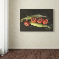 Лоис Брајан „Перна и домати“ уметност