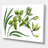 DesignArt „Зелени орхидеи цвеќиња на бело“ традиционално печатење на wallидови од платно