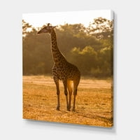 DesignArt 'Африканска жирафа во животинскиот свет II' фарма куќа платно wallидна уметност печатење