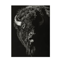 Julie T Chapman 'Wild Scratchboard IV' Canvas Art