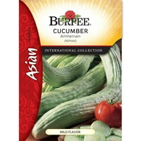 Burpee-Cucumber, Ерменски азиски пакет за семе