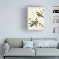 Студио за визија „грациозни птици јас“ платно уметност