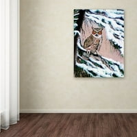 Трговска марка ликовна уметност „Голема роговиден був во зимска платна уметност од Ари Рајнхард Тејлор