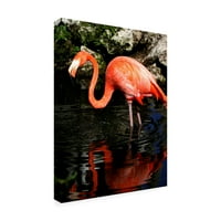 Заштитена марка ликовна уметност „Рефлексии Пинк Фламинго“ платно уметност од Дана Брет Минхен