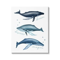 Студената индустрија со сон Откријте Замислете инспиративна типографија Наутички китови платно wallидна уметност,
